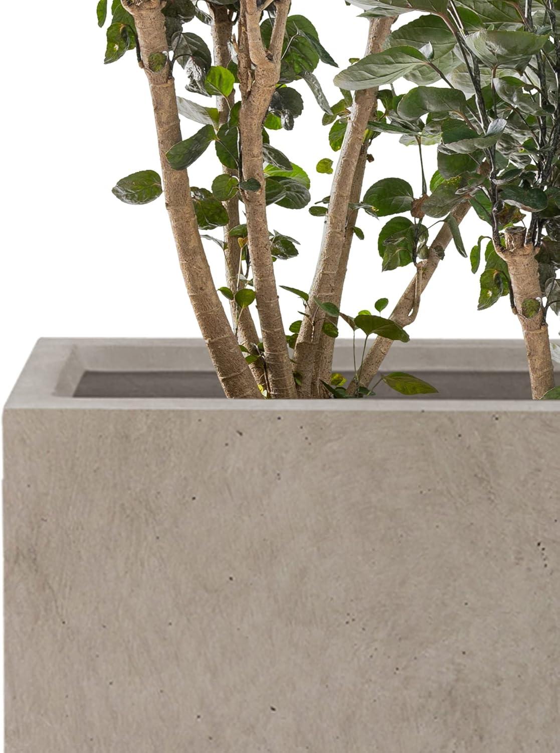 Weathered Concrete Rectangular Planters Set with Drainage Holes