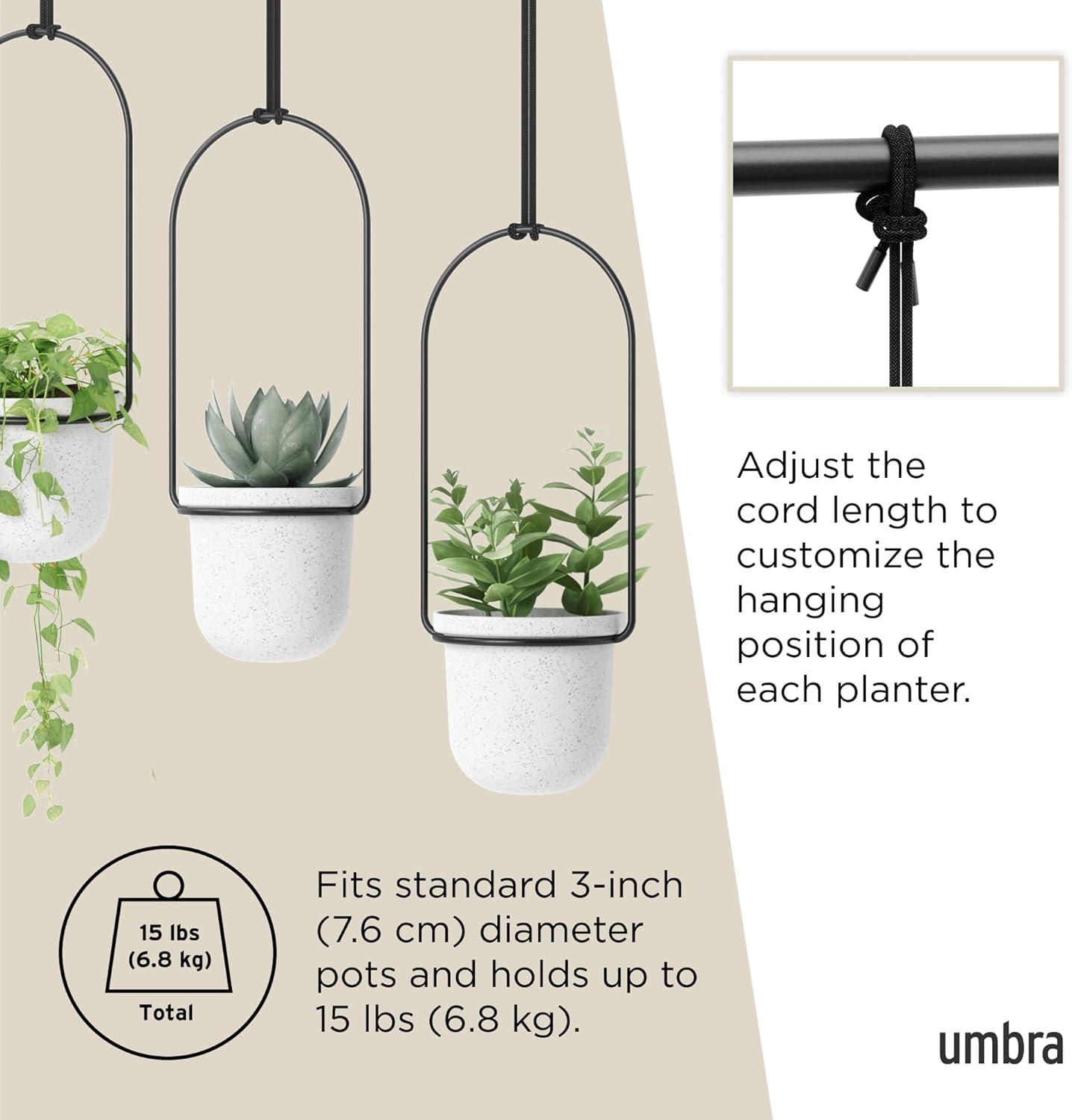 Tri-Flora Hanging Planter