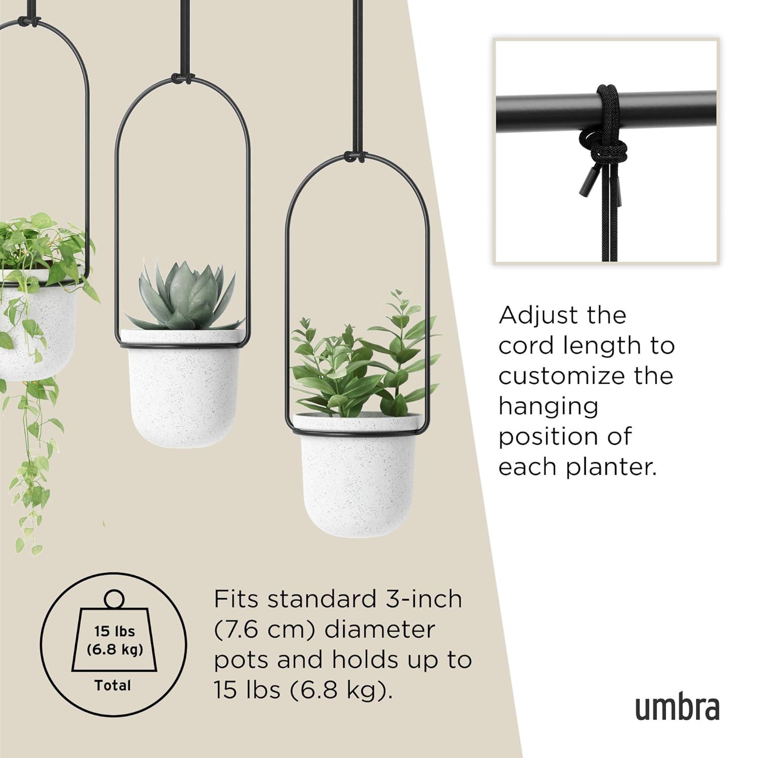 Tri-Flora Hanging Planter