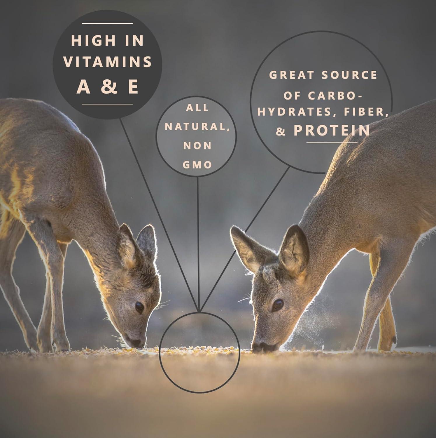 Whole Corn Kernels 10 lb Bag for Wildlife Feed