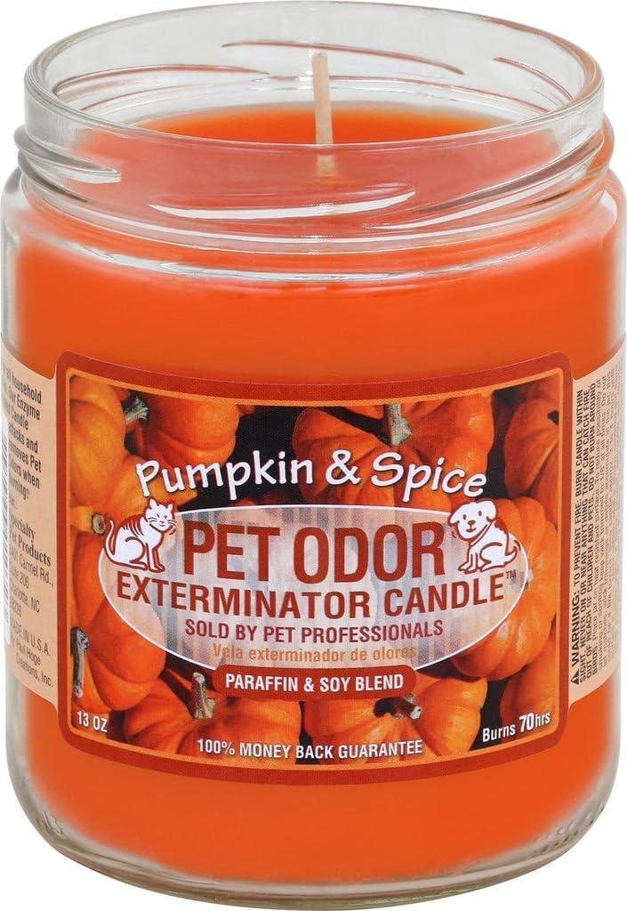 Pumpkin Spice Pet Odor Exterminator Candle 13oz