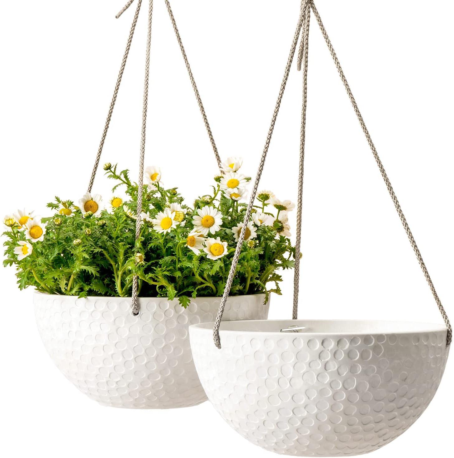 Boxdale Hanging Planter - Set of 2