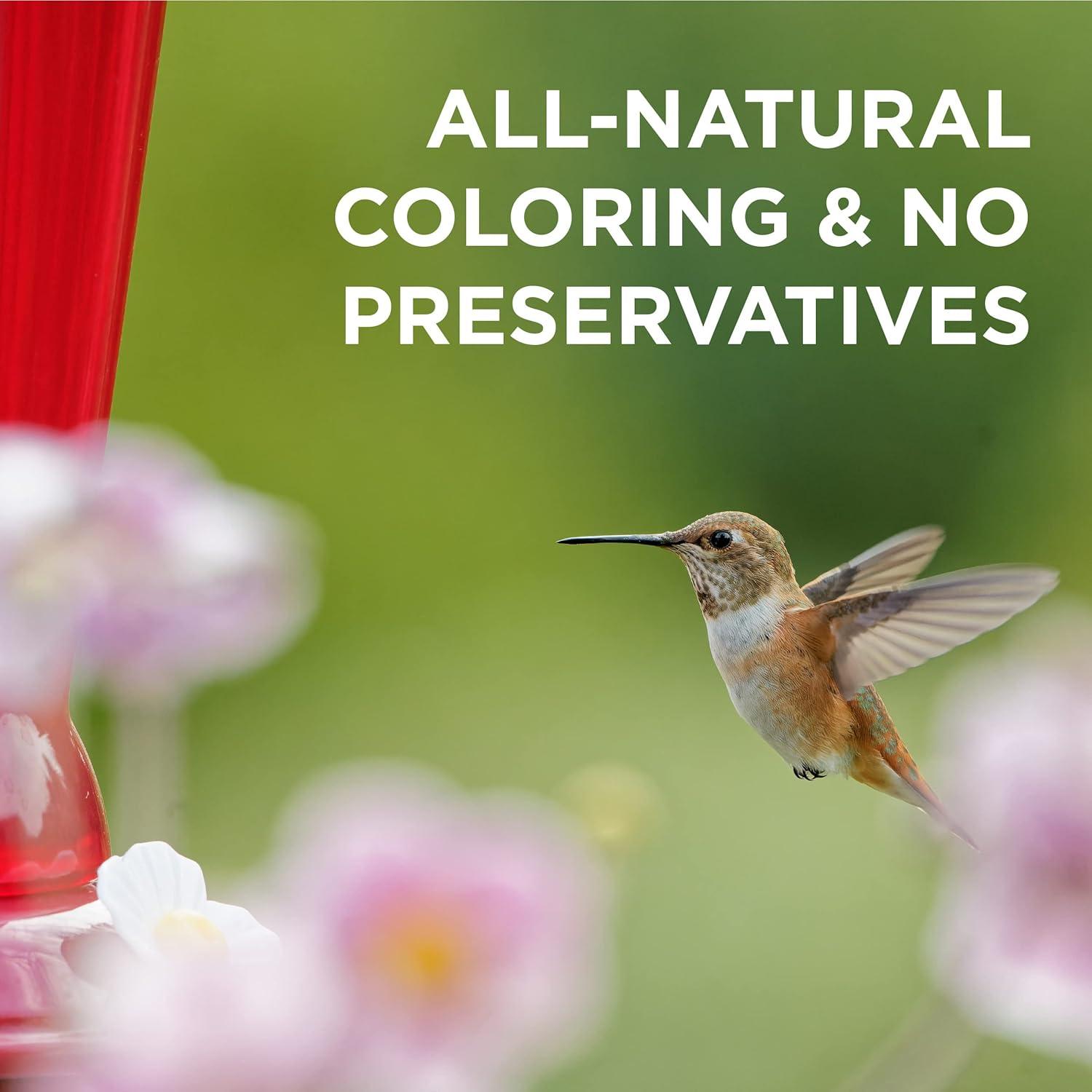 Audubon Park 9oz Hummingbird Bird Food