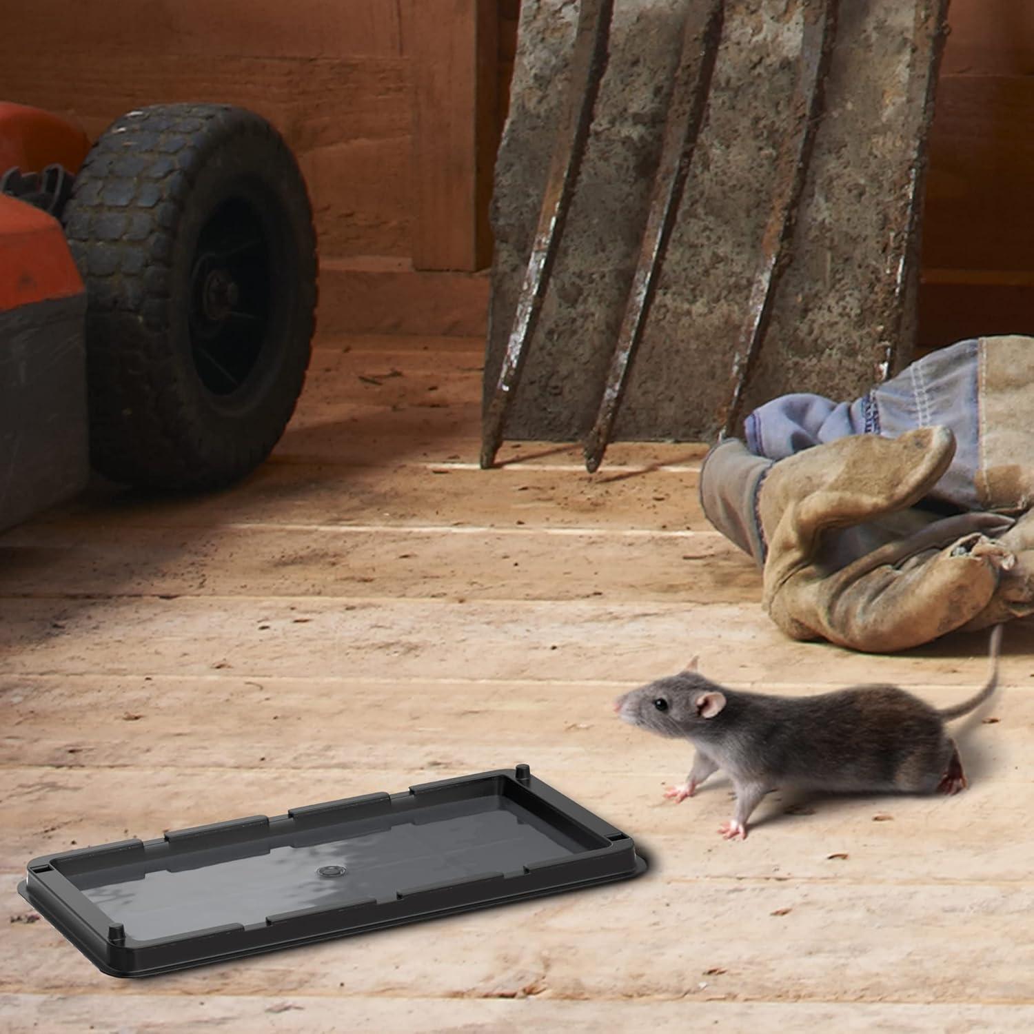 Mouse Traps Indoor for Home Rat Trap Heavy Duty-Sticky Snake Trap-12 Pre-Baited Glue Traps for Rodents