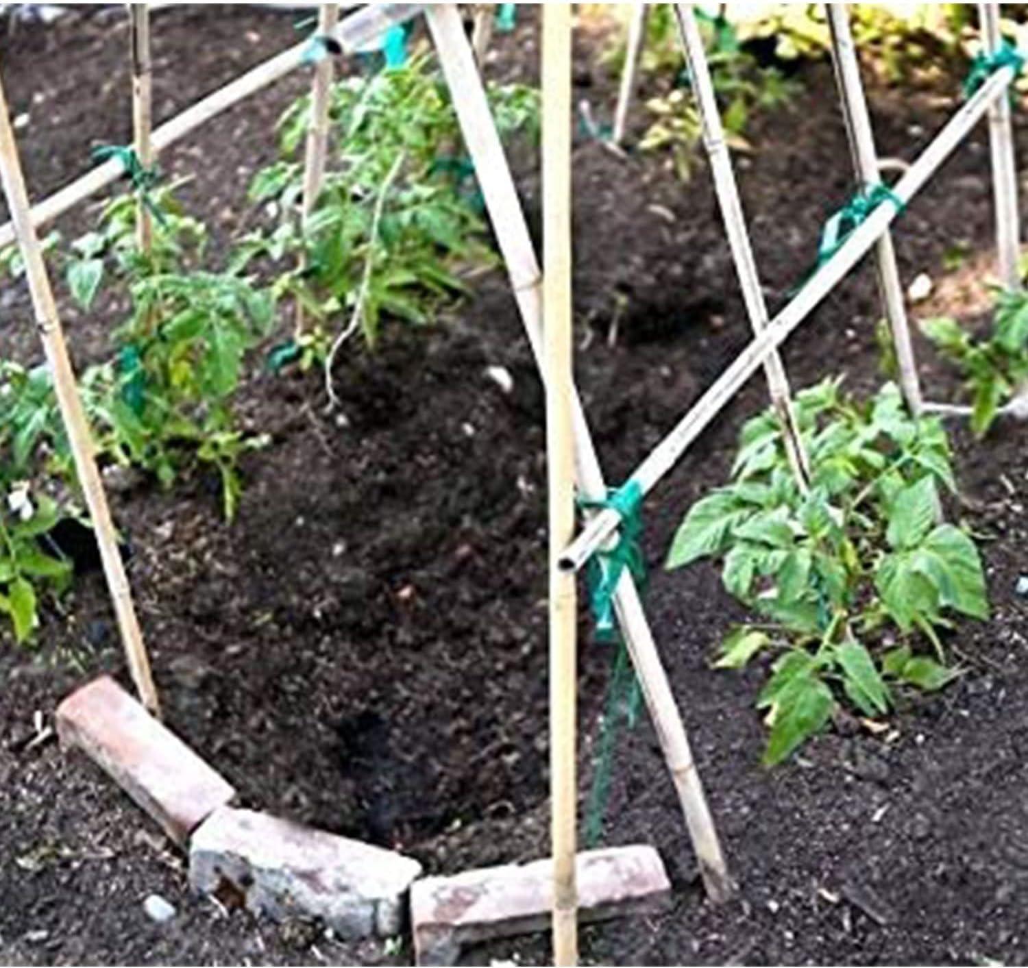 GROW!T 6' Bamboo Stakes, pack of 25