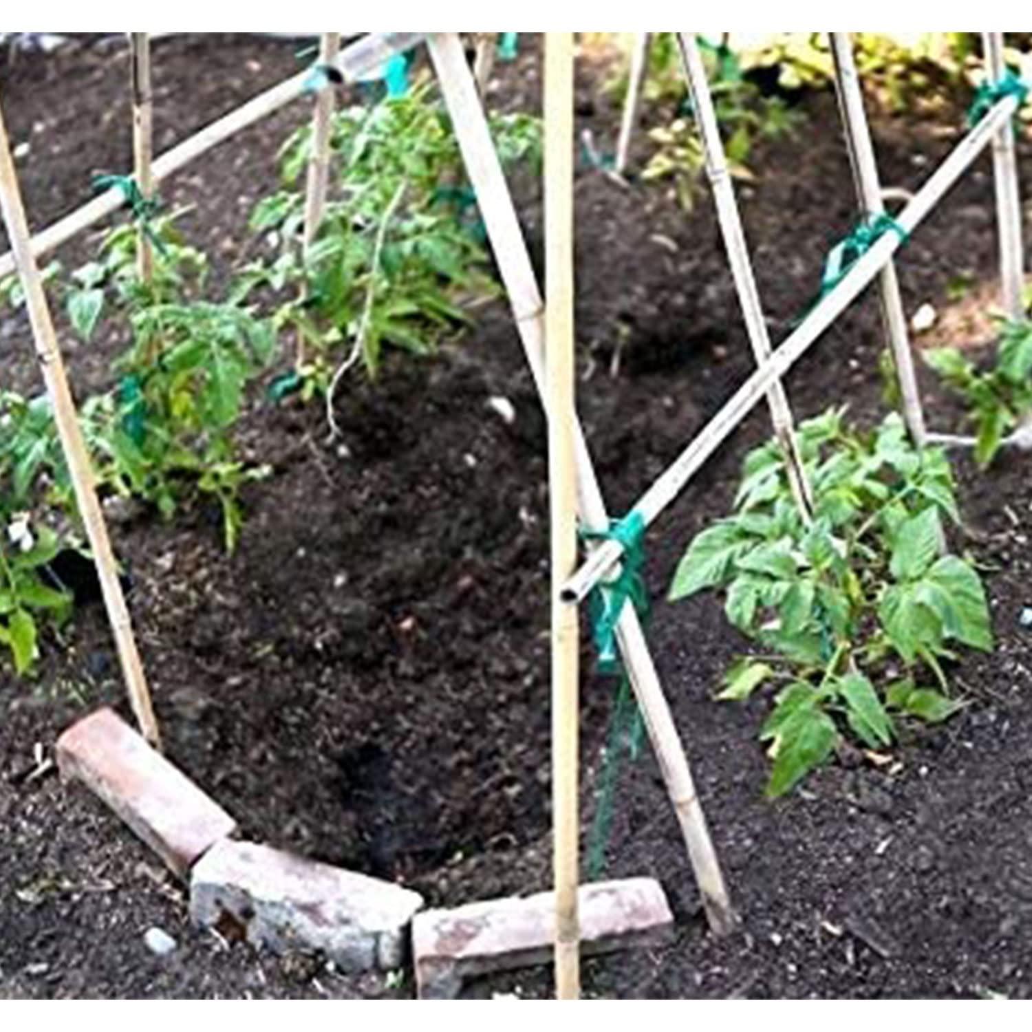 GROW!T 6' Bamboo Stakes, pack of 25