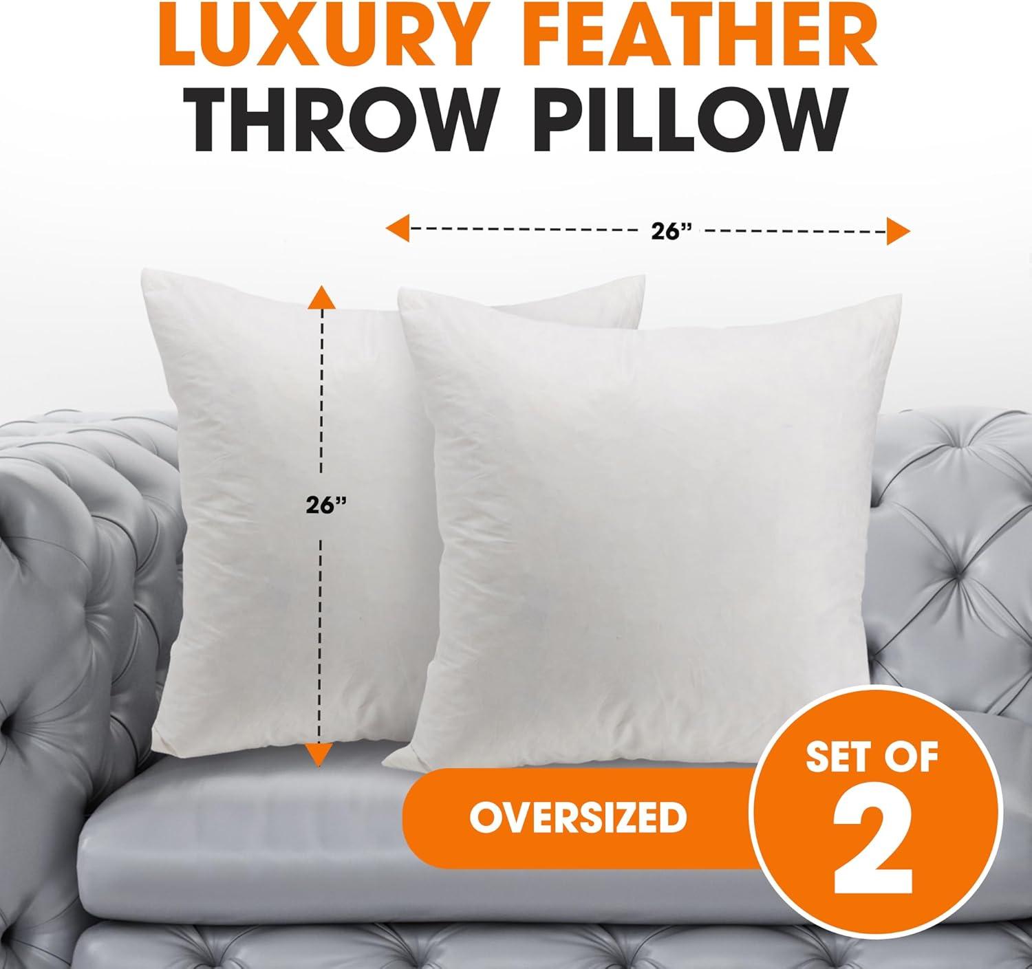 Feather Pillow Insert