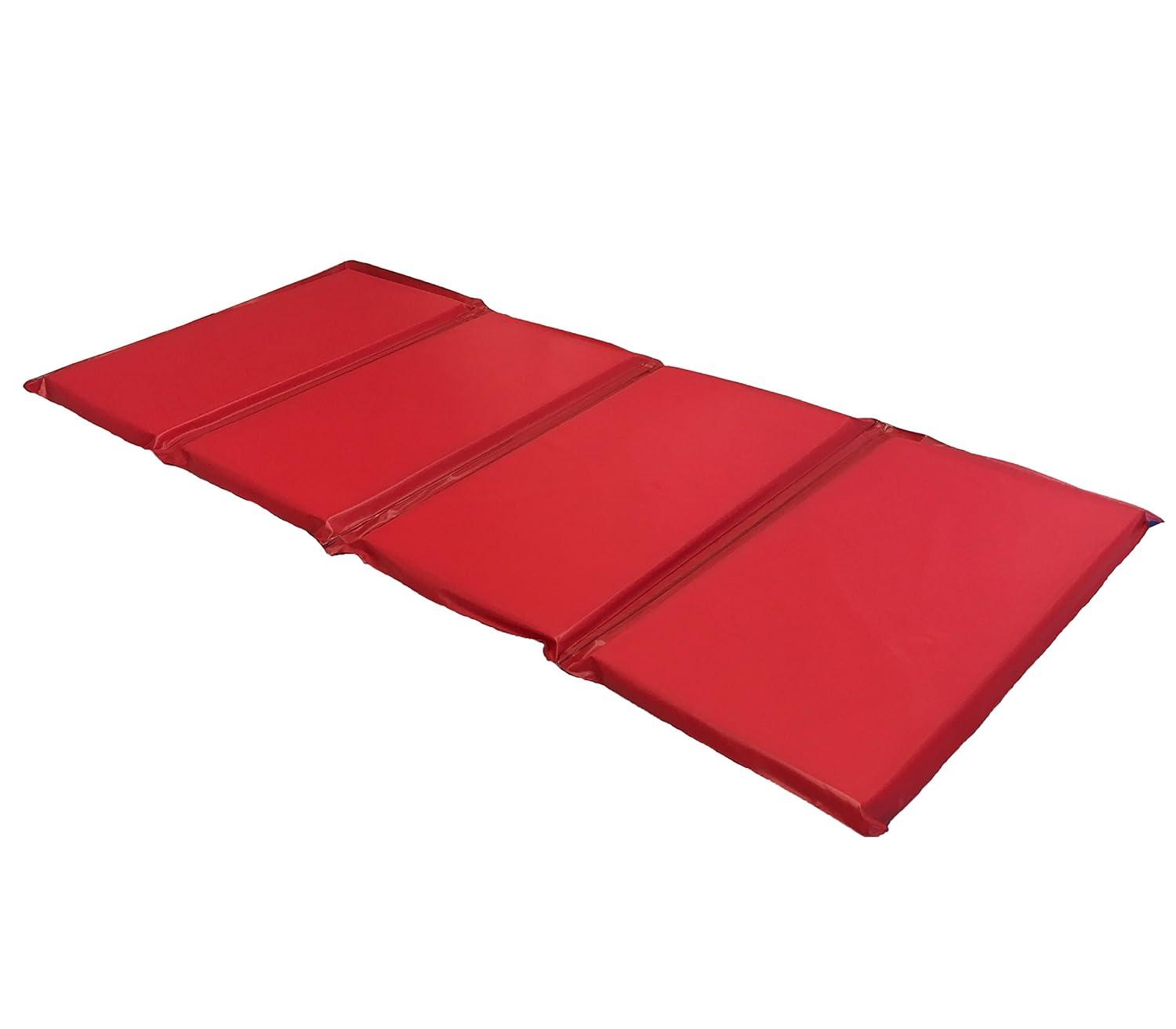 Acco Brands, Inc. 45'' L Foam Playmat
