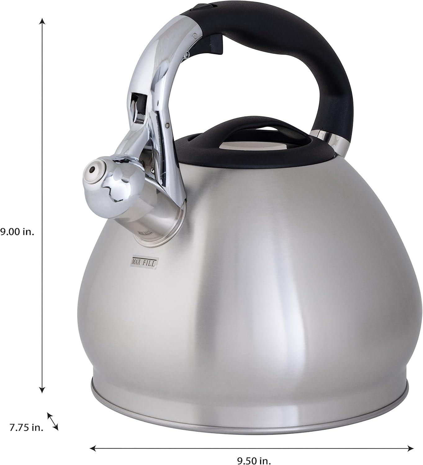 Stainless Steel Whistling Tea Kettle with Stay Cool Handle