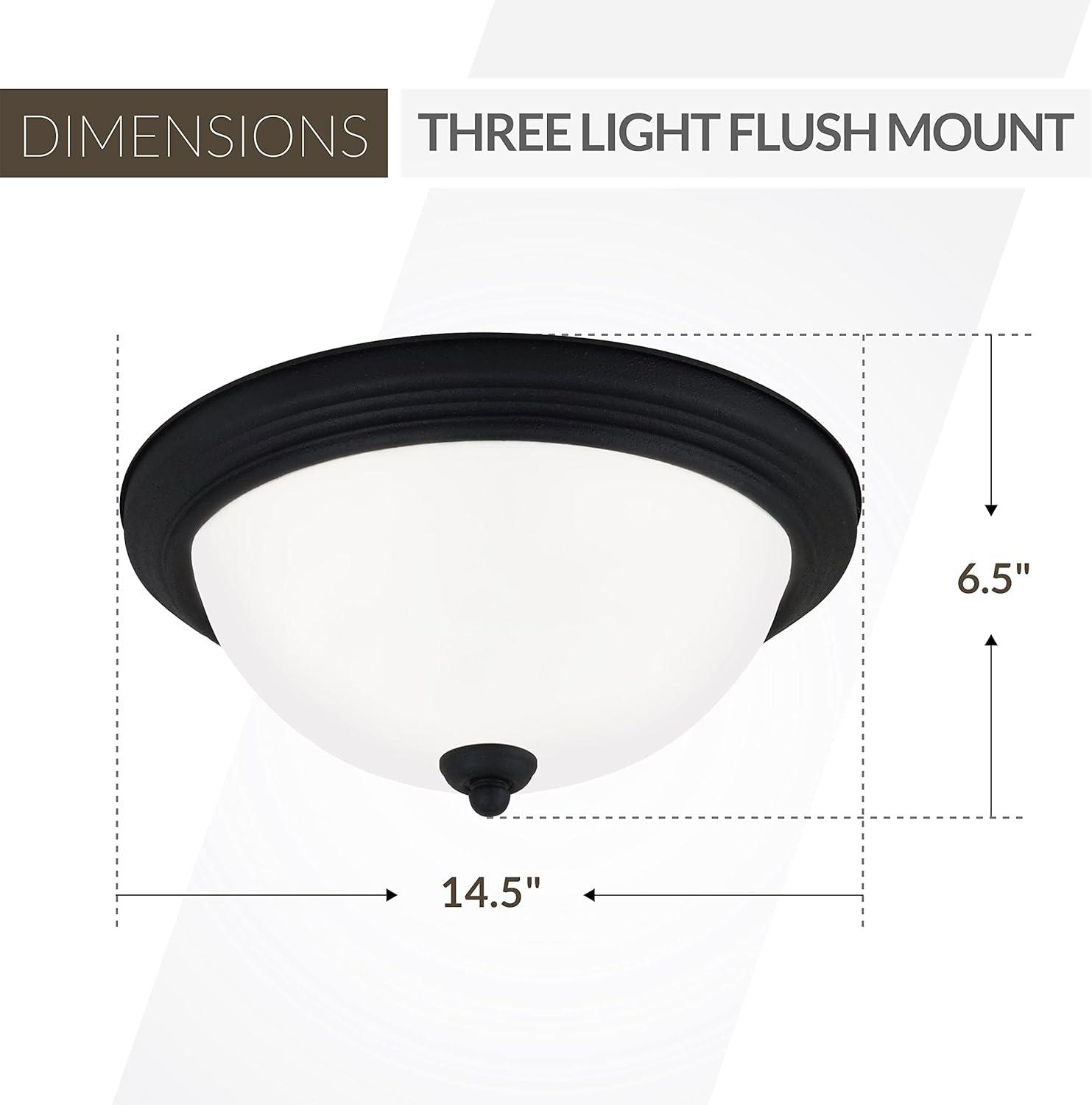 Geary 14.5 in. 3-Light Midnight Matte Black Traditional Contemporary Ceiling Flush Mount with Satin Etched Glass