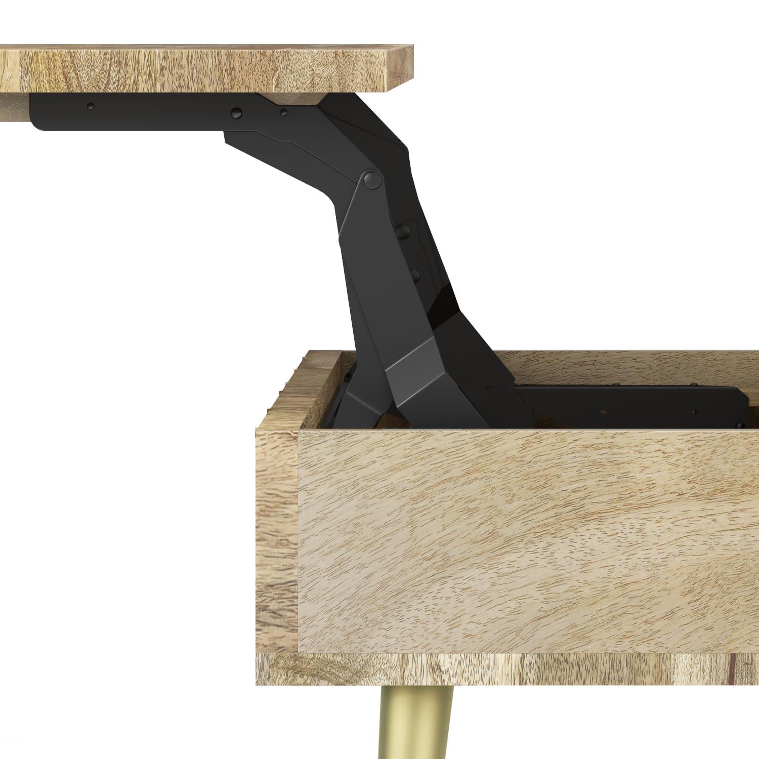 Simpli Home Jager 48"W Solid Mango Wood Contemporary Modern Lift Top Coffee Table with Hidden Storage and Geometric Brass Inlay