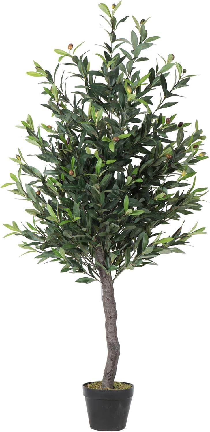 50 in. Green Olive Tree in Pot