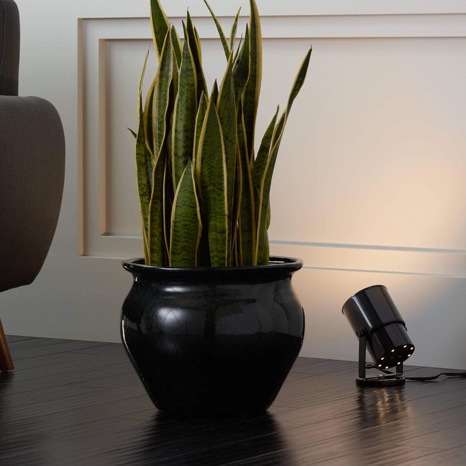 Pro Track Set of 2 Small Uplighting Indoor Accent Spot-Lights Plug-In Directional Adjustable Floor Plant Home Decorative Art Desk Black Finish 8" High