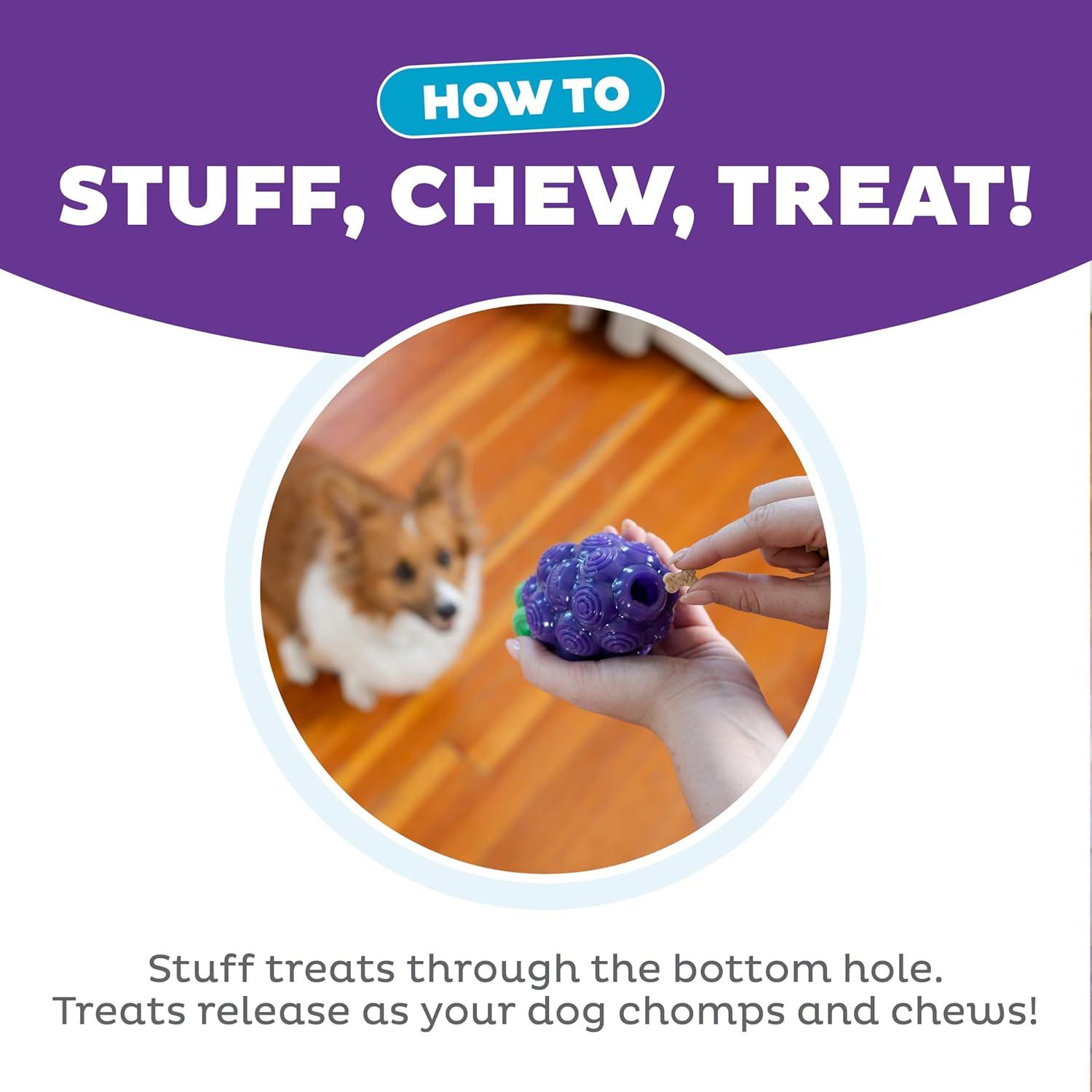 Purple Dental Chew and Treat Dispenser Dog Toy