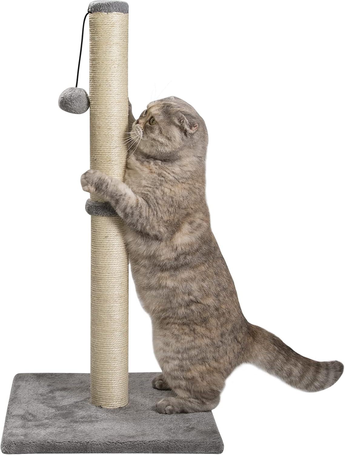 Tucker Murphy Pet™ 29" Tall Cat Scratching Post, Scratch Posts With Sisal Rope And Hanging Interactive Toy Ball For Indoor Cats And Kittens