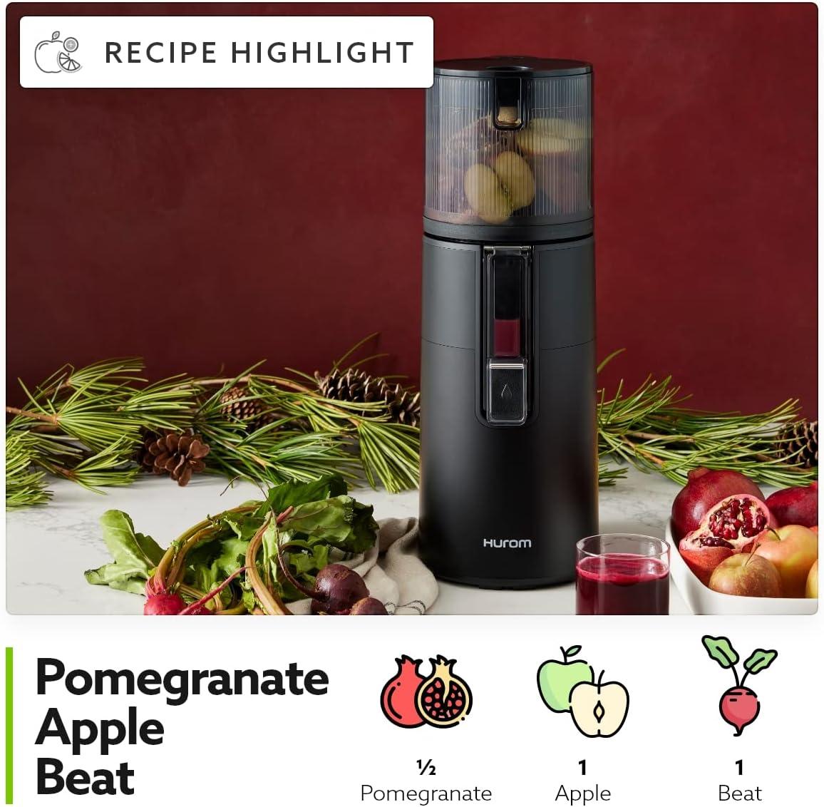 Hurom Hurom H400 Two Tone Easy Clean Slow Juicer