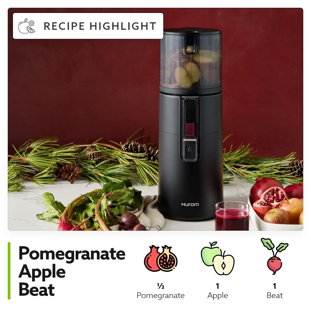 Hurom Hurom H400 Two Tone Easy Clean Slow Juicer