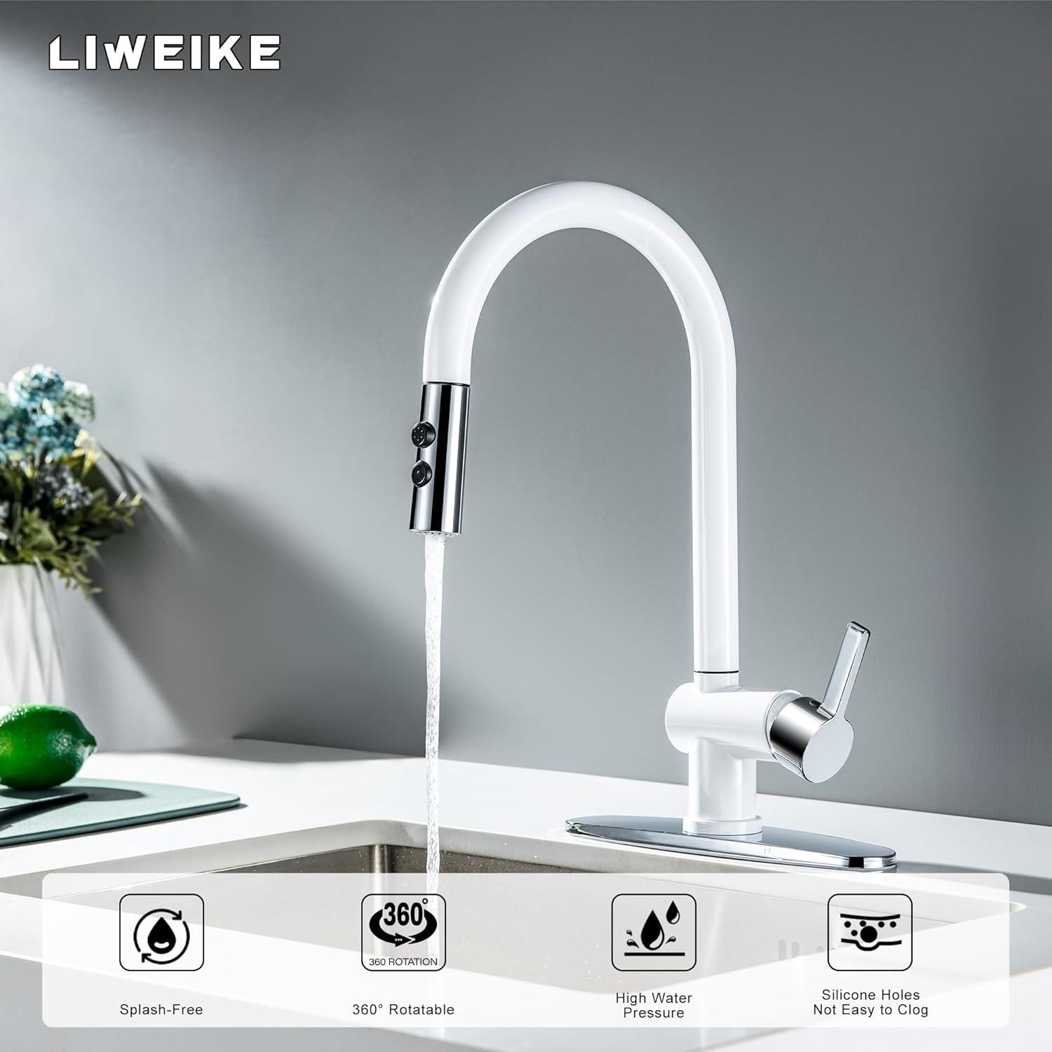 VIBRANTBATH VIBRANTBATH Pull Out Kitchen Faucet 4034-BGK