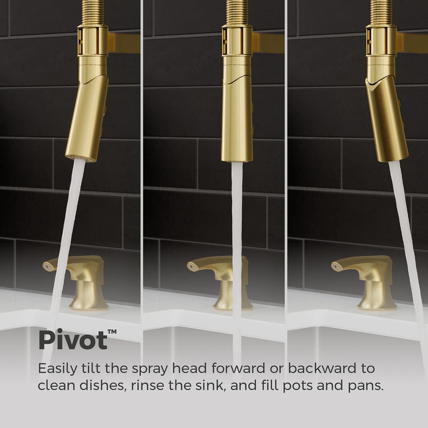 Ceylon Single Handle Culinary Pull Down Sprayer Kitchen Faucet in Brushed Gold