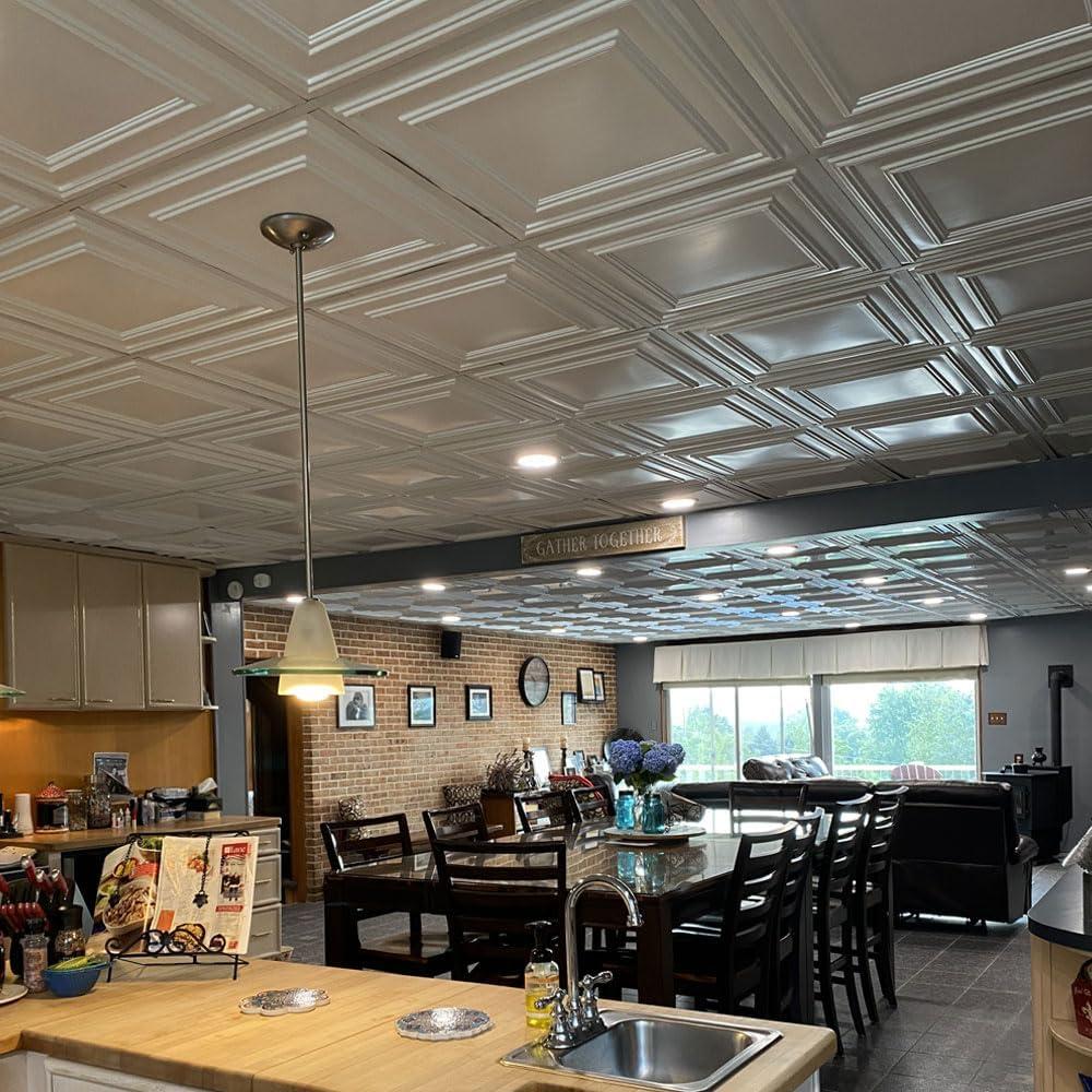 Economy Drop-In PVC Ceiling Tile