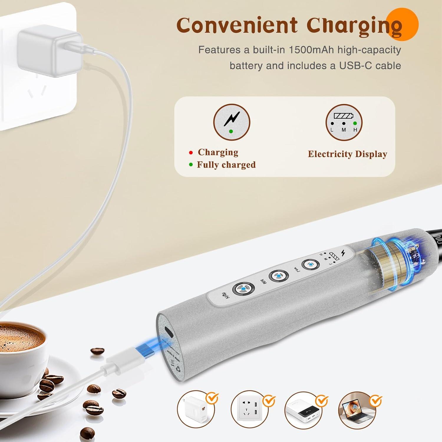 Silver Rechargeable Handheld Milk Frother with 3 Whisks