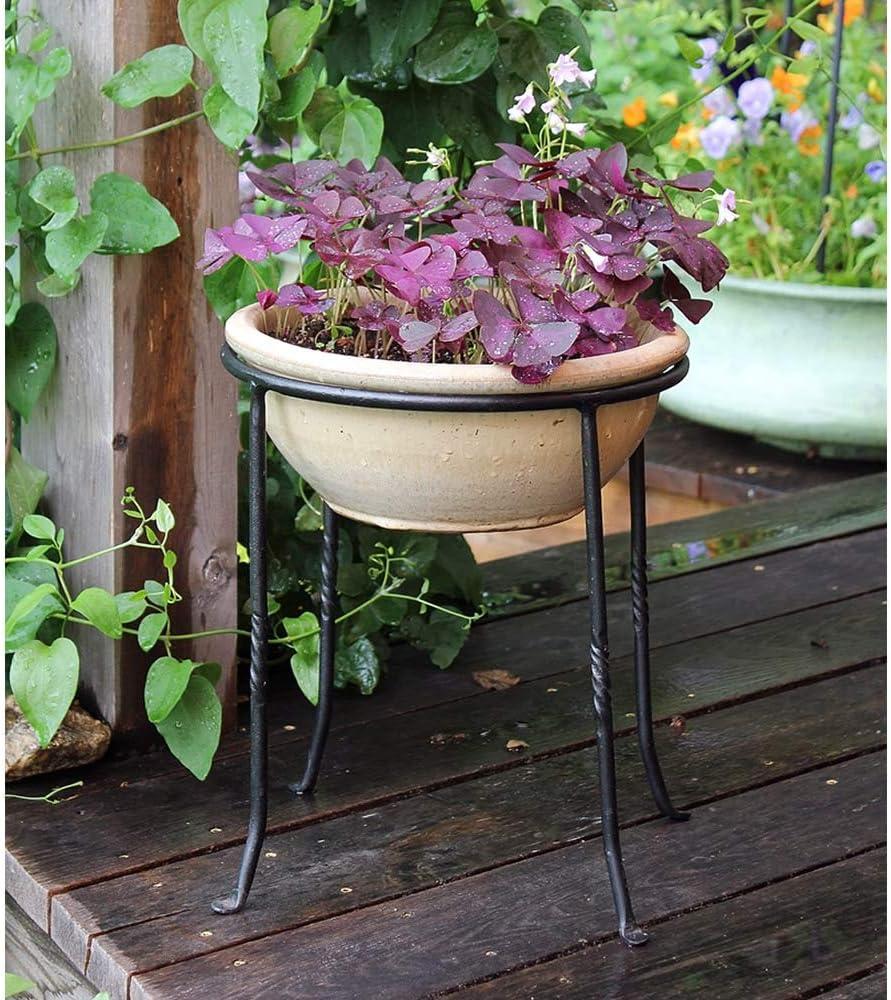 Winston Porter Drumnasole Iron Pedestal Birdbath