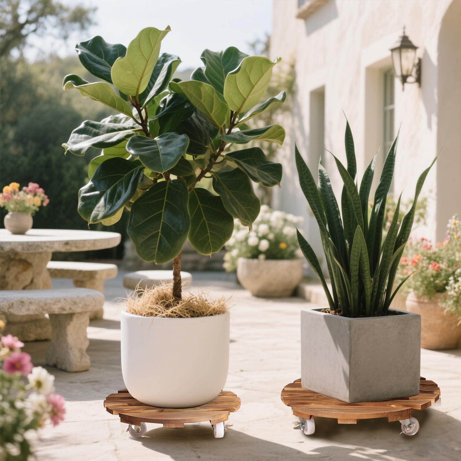 BUSATIA 2pack 12" Plant Caddy Plant Stand with Wheels,Rolling Plant Stand Heavy Duty Wooden Round Plant Dolly Rollers with 360°Metal Lockable Casters Indoor Outdoor Pot Plant Roller Base Caddies