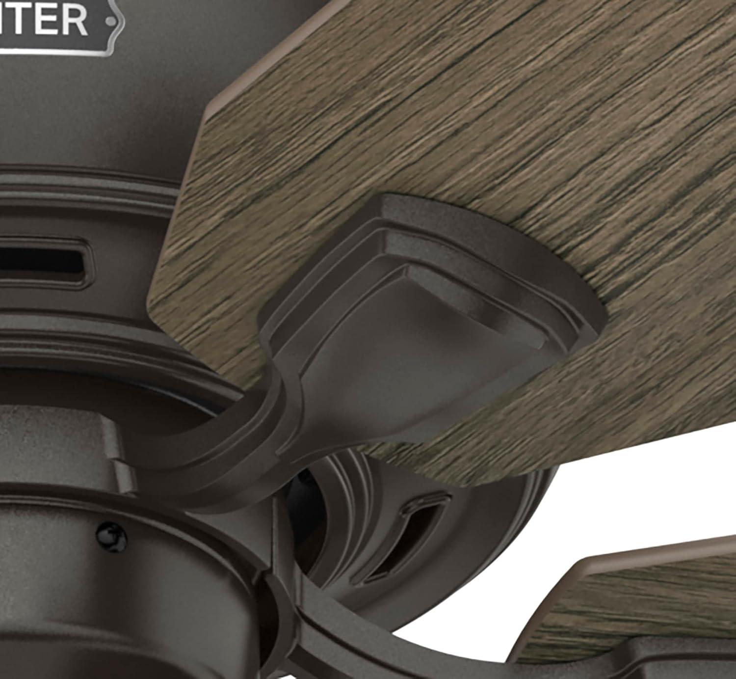 Hunter Fan 52" Rosner 5 - Blade Ceiling Fan With Lights and Pull Chains