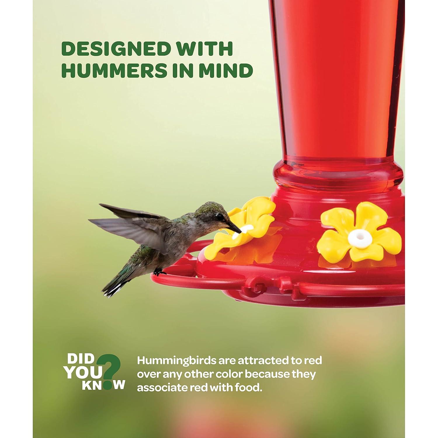 Hummingbird Feeder 10 oz Plastic Hummingbird Feeders for Outdoors, with Built-in Ant Guard - Circular Perch with 5 Feeding Ports - Wide Mouth for Easy Filling/2 Part Base for Easy Cleaning