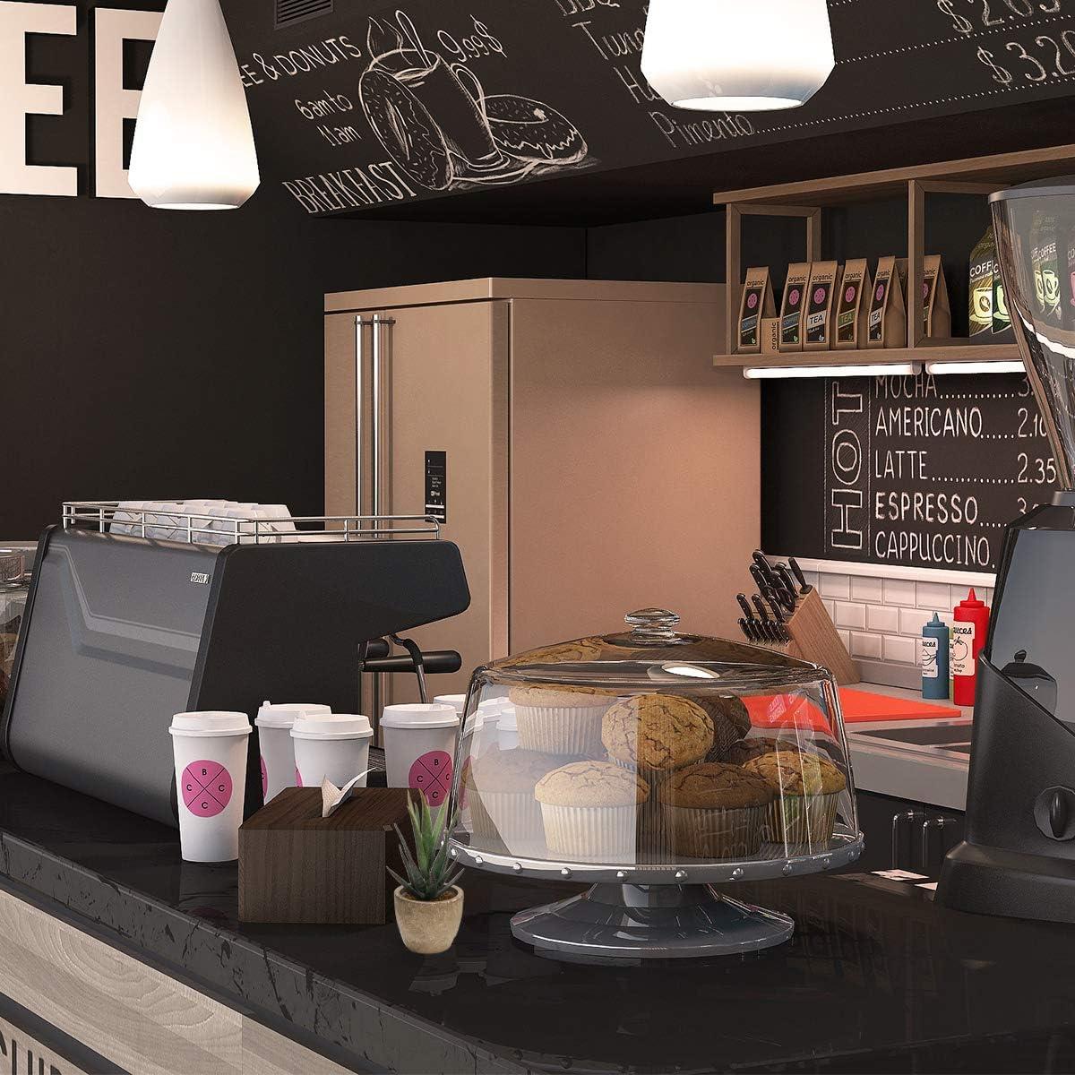 Primrue Artificial Succulent Plants Potted, Assorted Decorative Faux Succulent Potted Fake Cactus Cacti Plants With Pots, Set Of 5