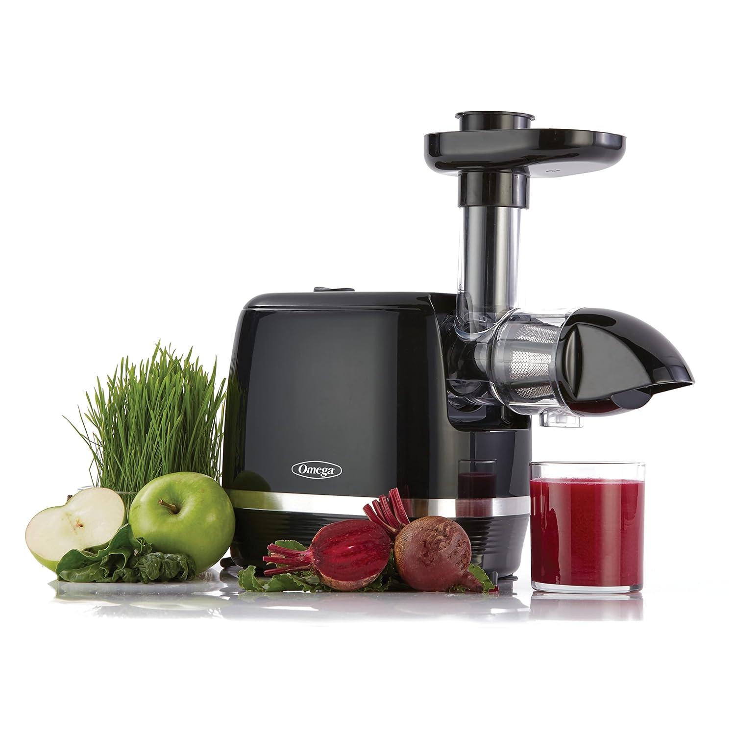 Omega H3000D Cold Press 365 Slow Masticating Juice Extractor Juicer, 150-Watts