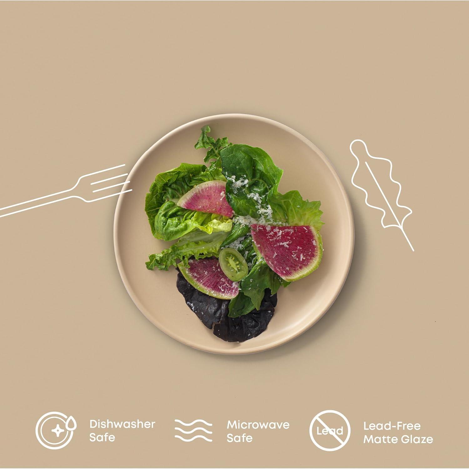 JoyJolt JoyJolt Mesa 6pc Stoneware 8" Salad plate set (Set of 6)
