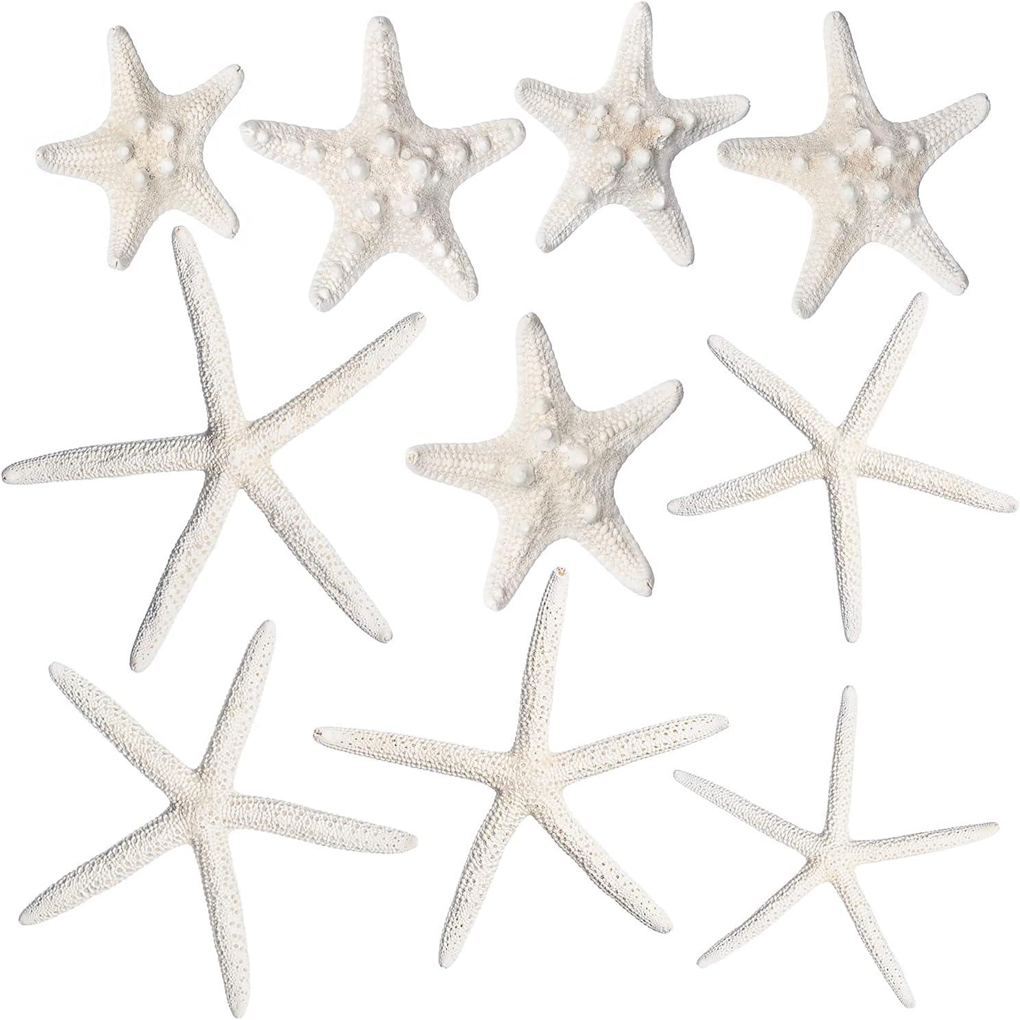 Nautical Crush Trading Starfish & Knobby Starfish Decor - (5) White Starfish 4-6" and (5) Knobby Starfish 2-3.5" - Beach Wedding Decor - Coastal Party Decorations - Seashell Decor