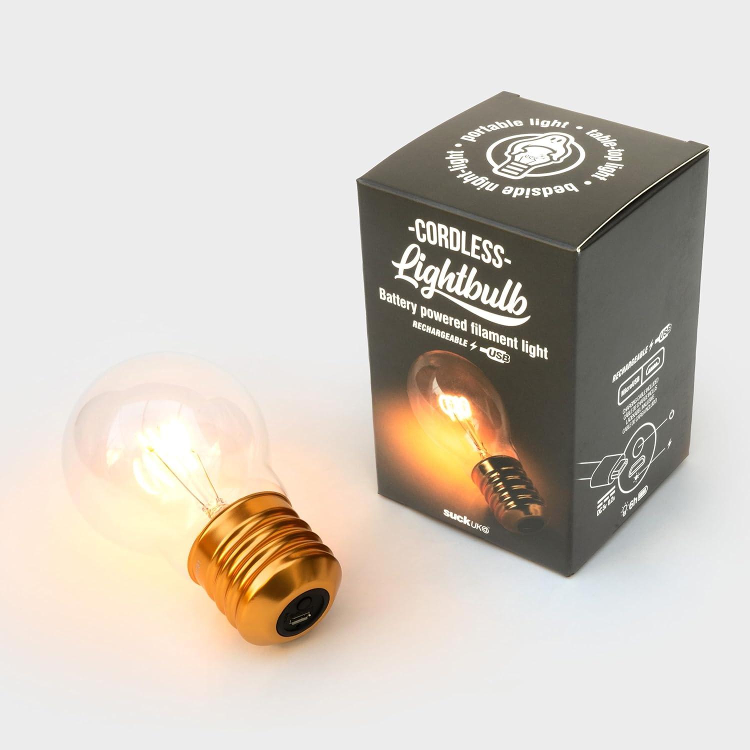 Cordless Glass and Metal LED Filament Light Bulb