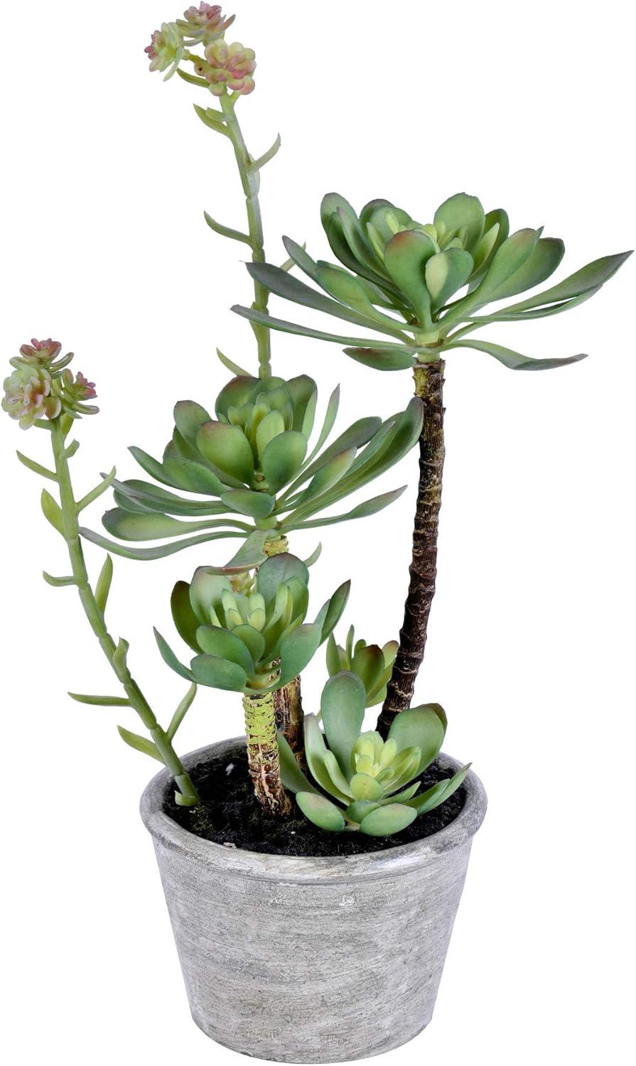 Vickerman 13.5" Artificial Green Succulent, Paper Pot.