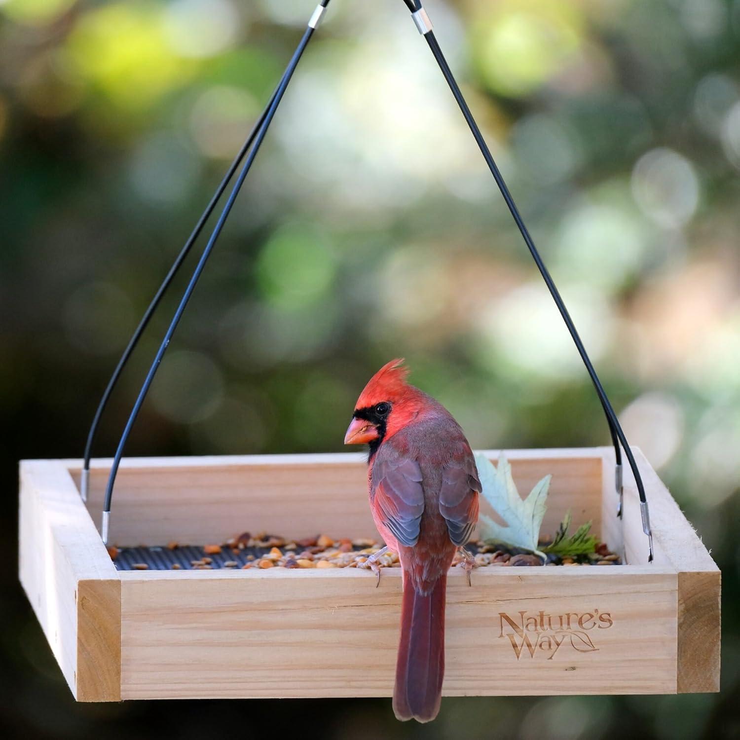 Nature's Way Cedar Tray Bird Feeder: Weather-Resistant Wood, No Assembly, 12x12 Hanging Design