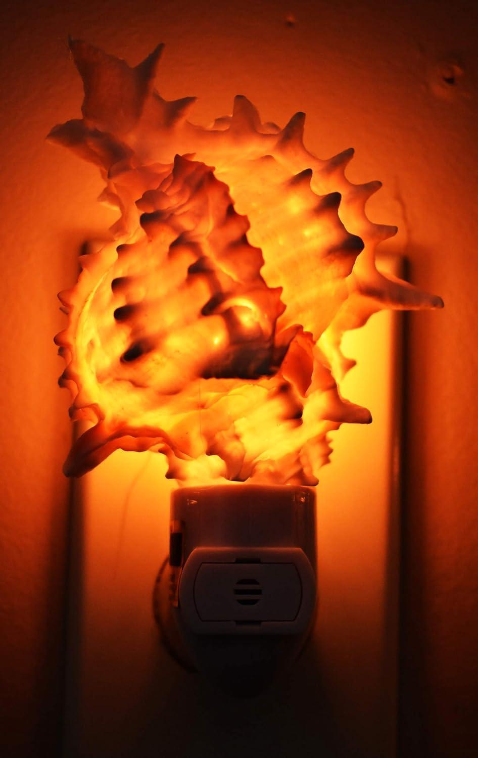 Pink Murex Seashell Coastal Night Light with Touch Switch