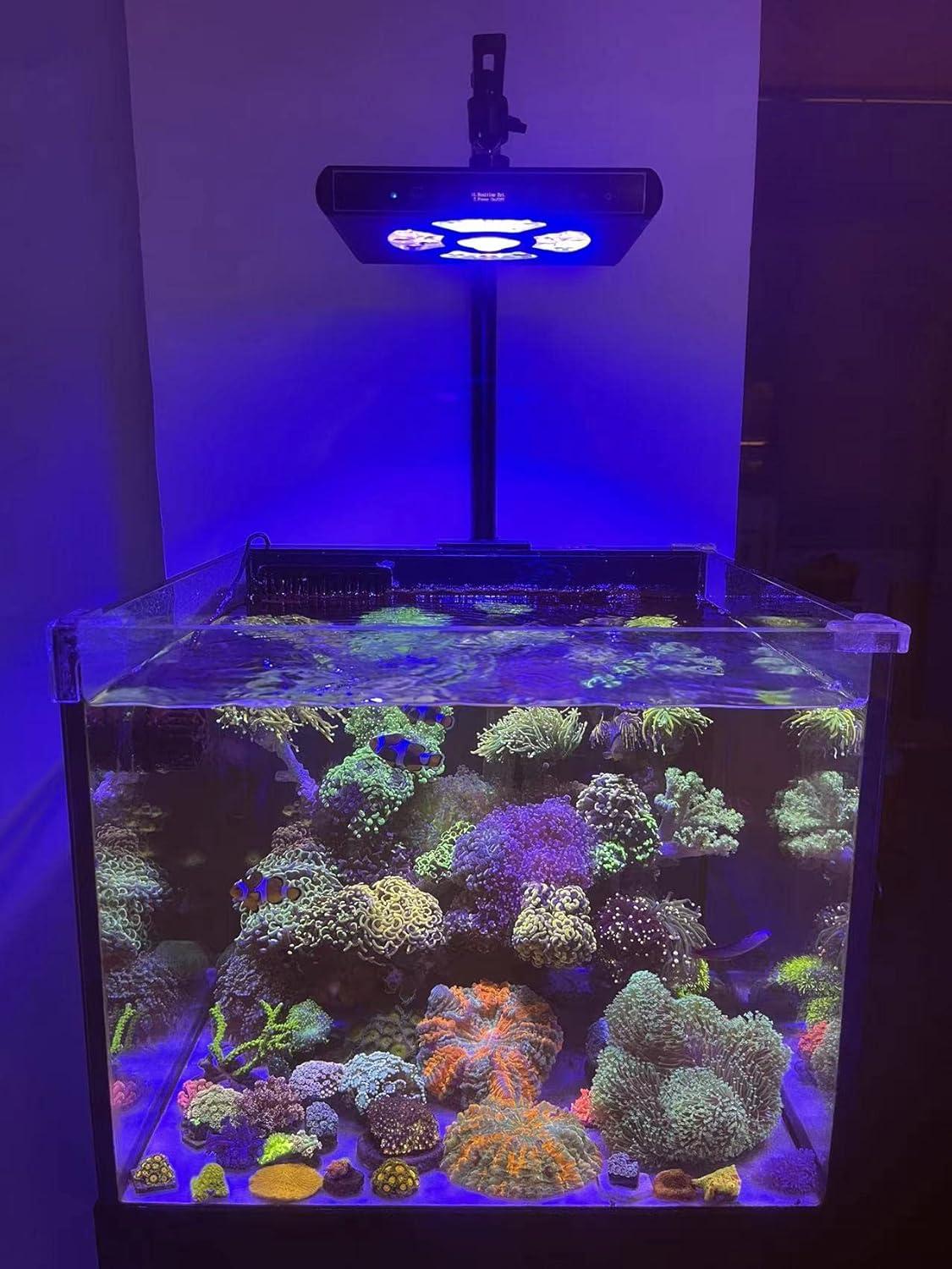 Black 100W LED Aquarium Light with Remote for Saltwater Tanks