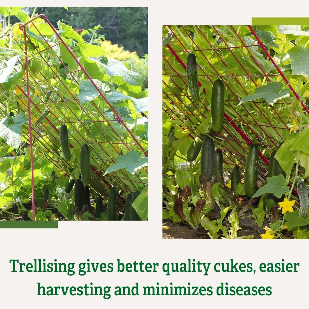 Gardener's Supply Company Cucumber Trellis | Garden Bed Support for Cucumbers & Climbing Plants | Outdoor Plant Support w/ 4" Grids for Easy Harvesting | 32" x 48" - Medium (Red)