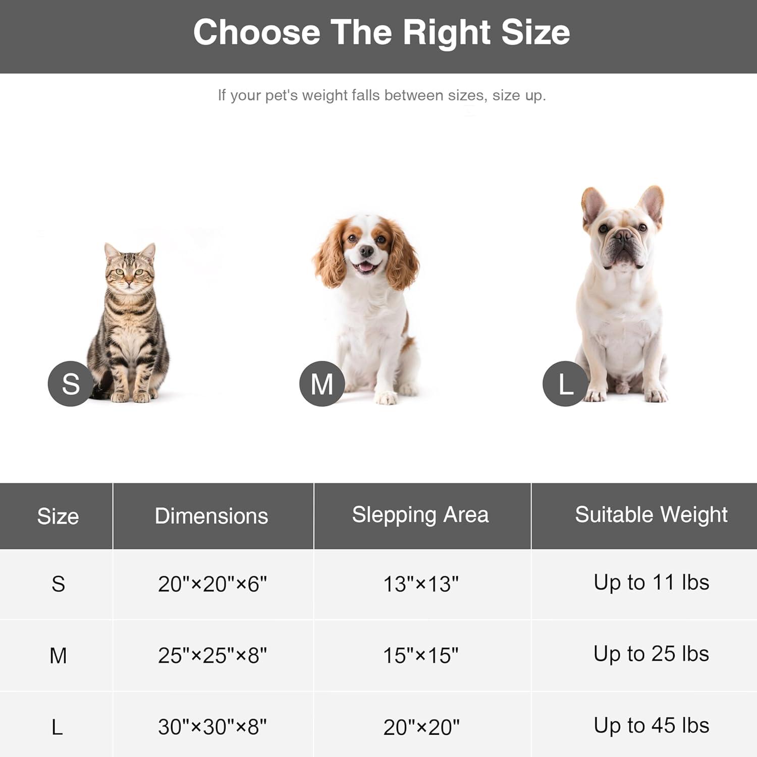 Archie & Oscar™ Round Donut Cat And Dog Cushion Bed, 20In Pet Bed For Cats Or Small Dogs, Anti-Slip & Water-Resistant Bottom, Super Soft Durable Fabric Pet Beds, Washable Luxury Cat & Dog Bed