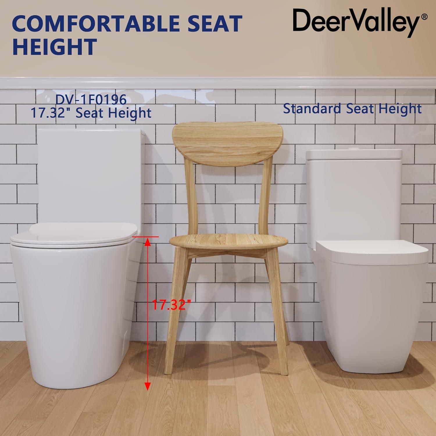 DeerValley One Piece Modern Toilet, Elongated Dual Flush Standard White Toilet with Comfort ADA Seat Height(Seat Included)