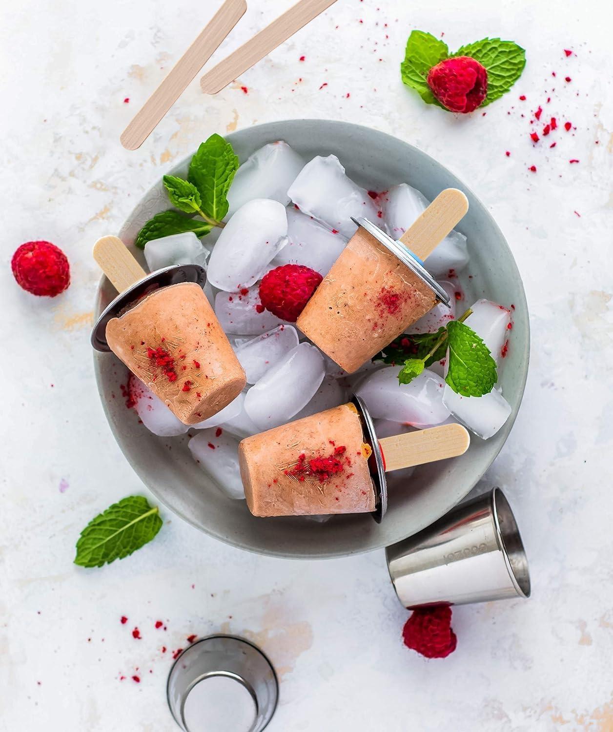 Eco-Friendly Stainless Steel Popsicle Molds with Silicone Seals