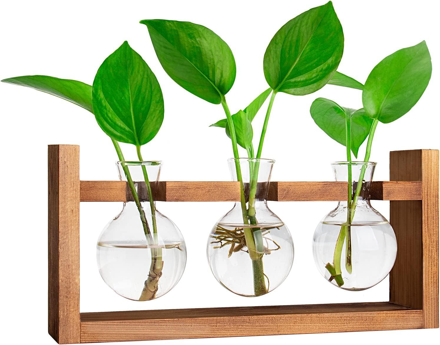 Plant Propagation Station,Plant Terrarium,Plant Starter,Gifts for Plant Lovers,Glass Bulb Terrarium with Retro Solid Wooden Stand for Hydroponics Plants Home Garden Wedding Décor (3 Bulbs)