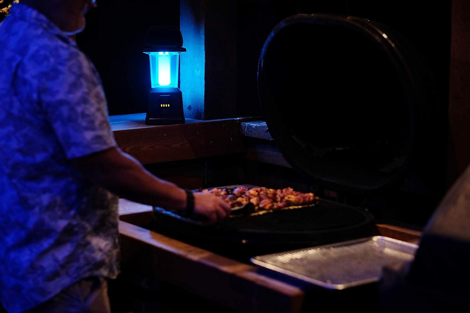 Enbrighten 650 Lumens Electric Camping Lantern