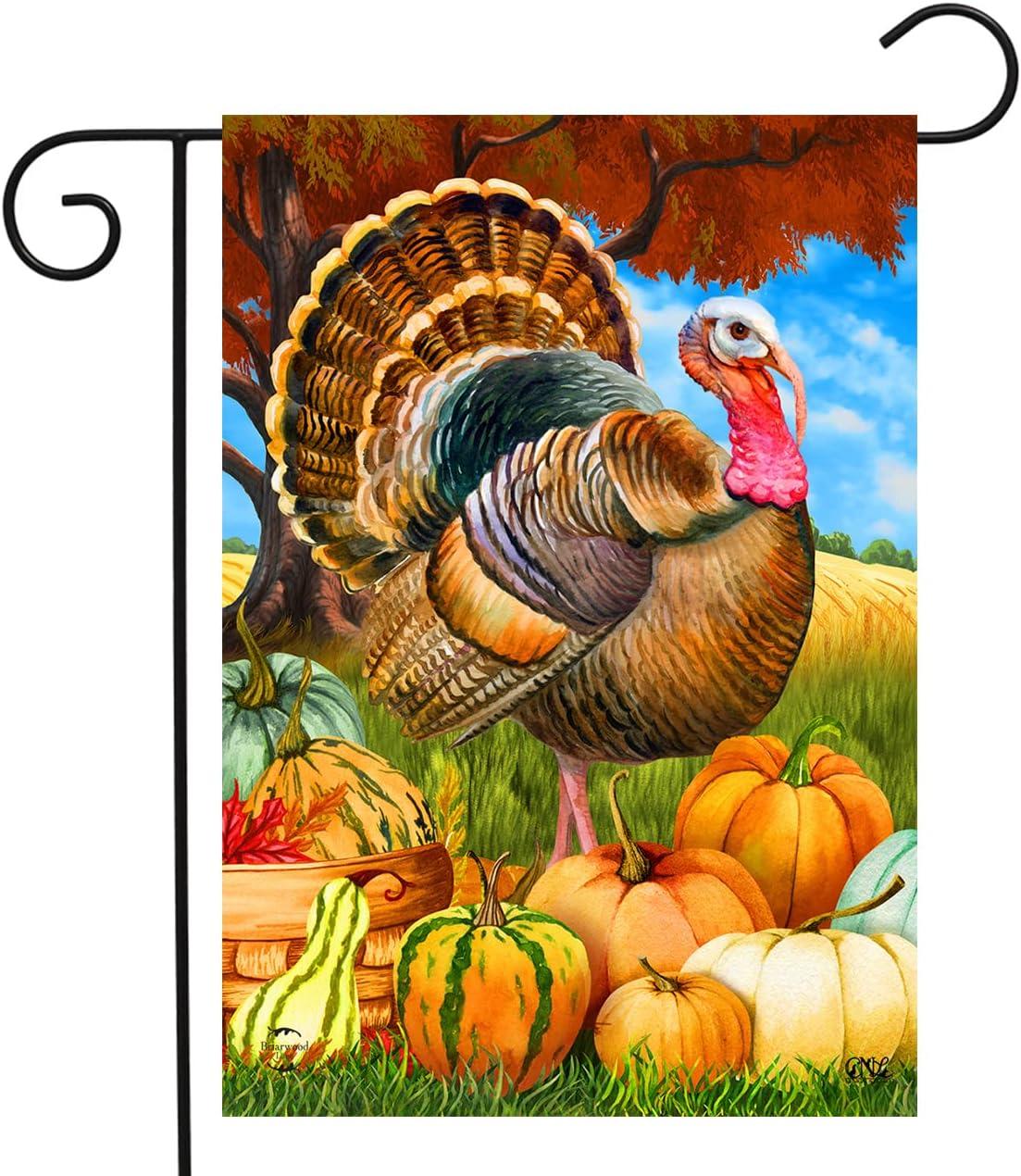 Briarwood Lane Turkey and Pumpkins Fall Polyester Garden Flag