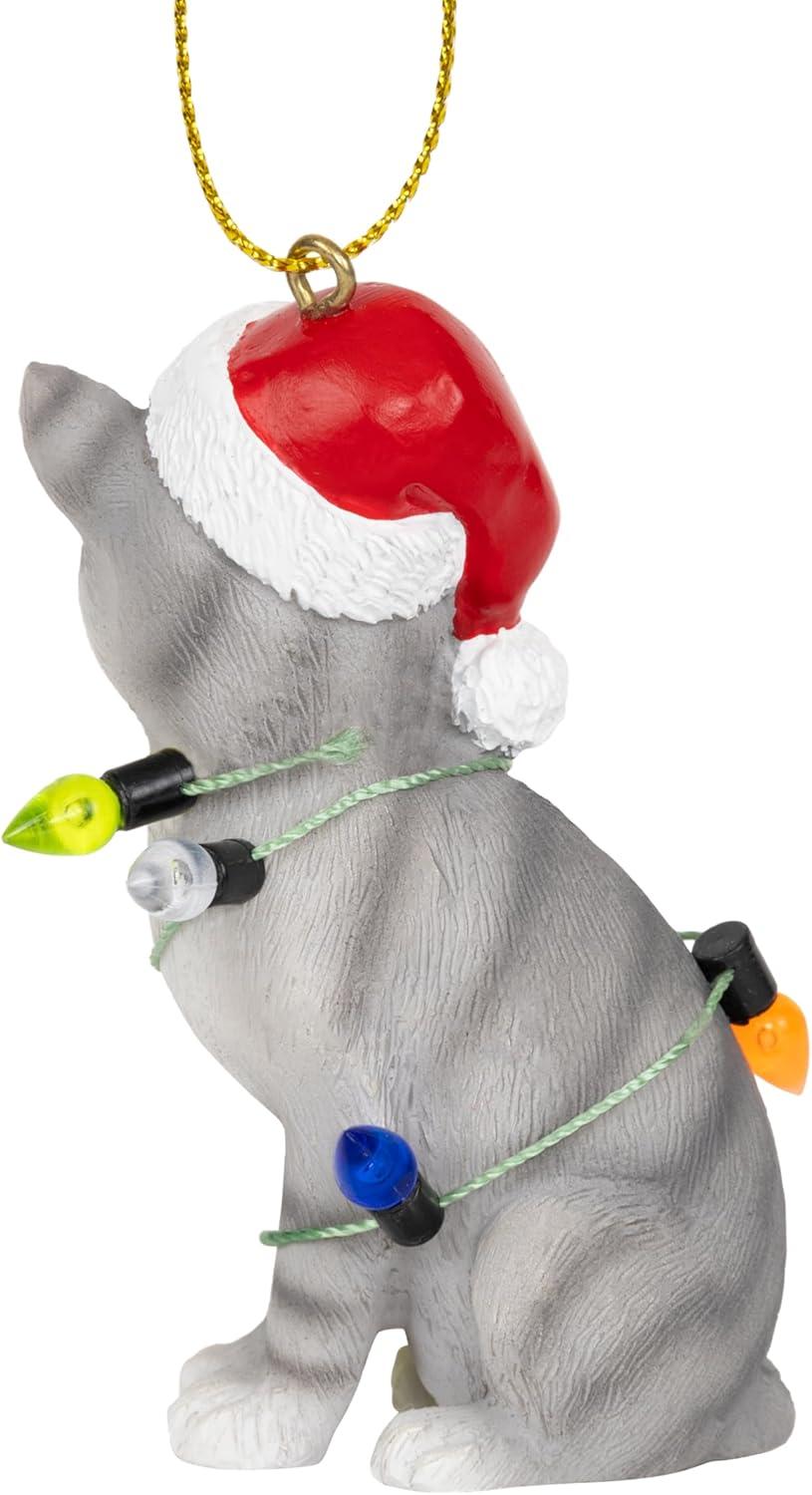 Charlton Home® Santa Cat Ornament