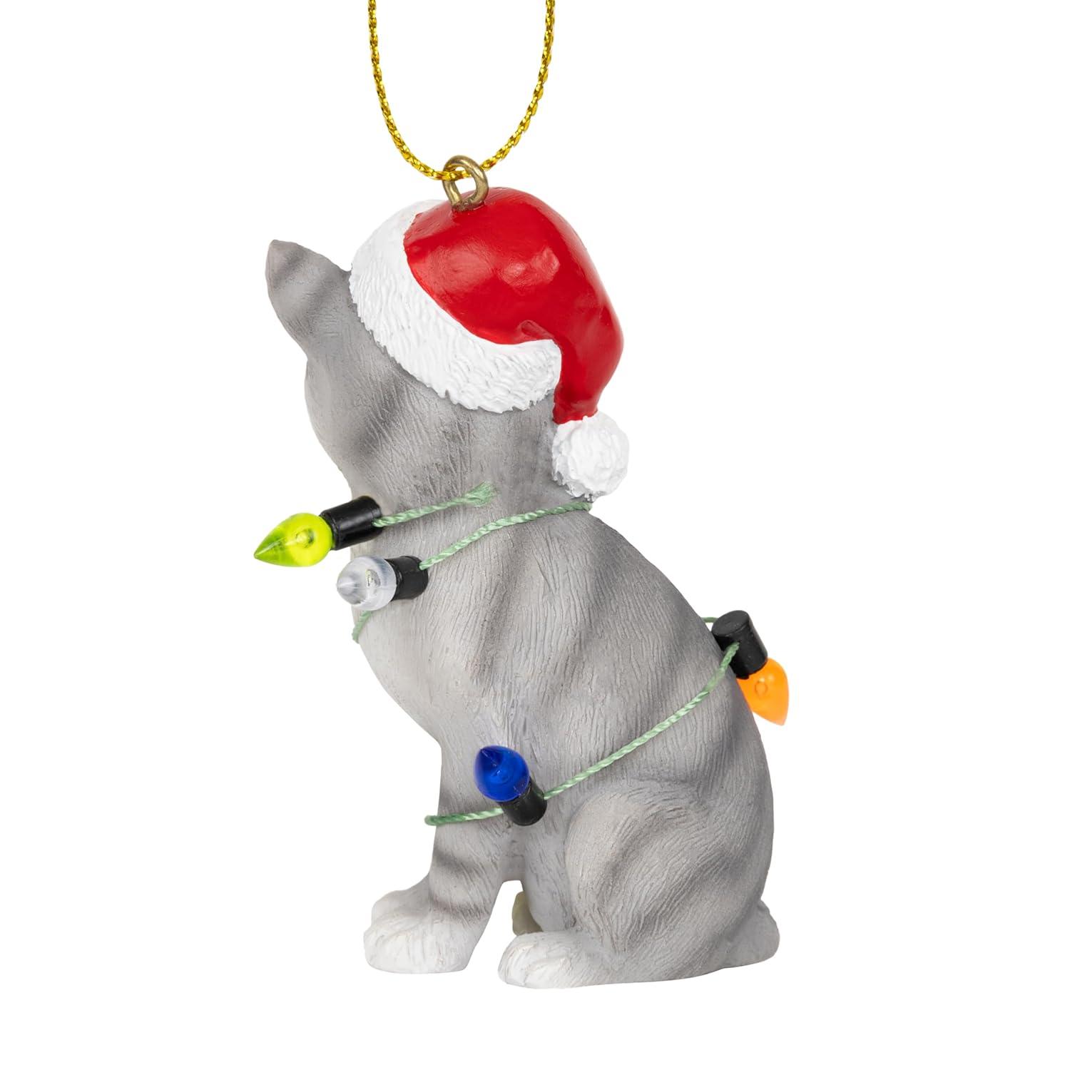 Charlton Home® Santa Cat Ornament