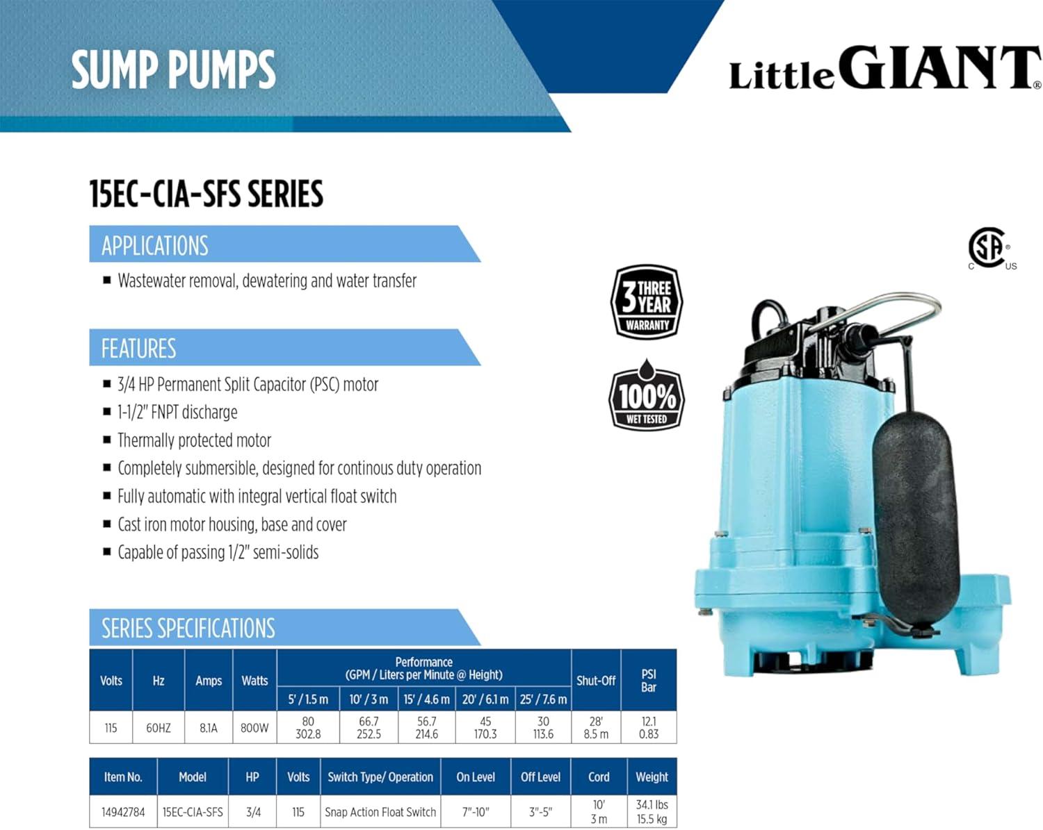 Blue Cast Iron 3/4 HP Effluent Sump Pump with Float Switch