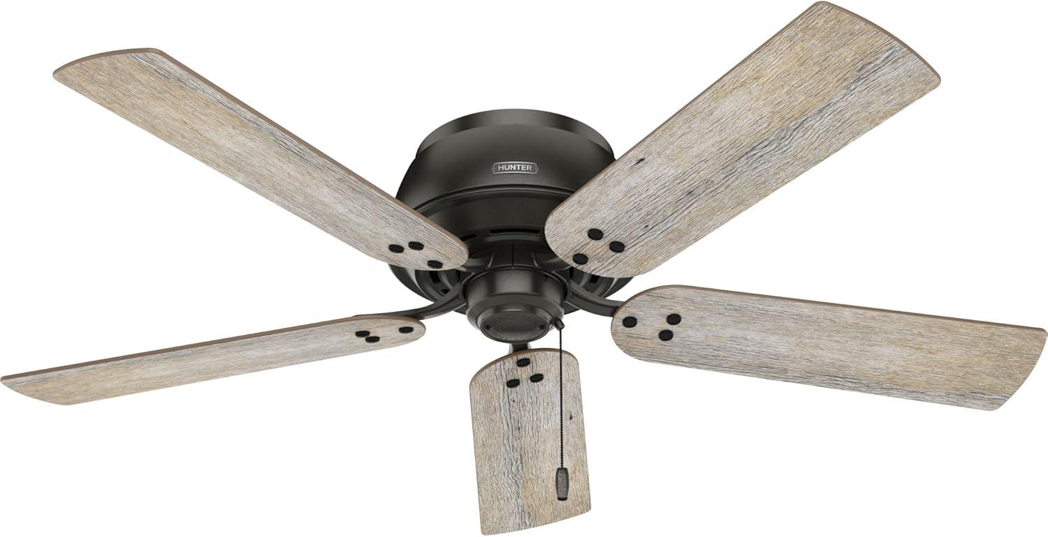 Shady Grove 52" 5 - Blade Ceiling Fan With Lights And Pull Chain