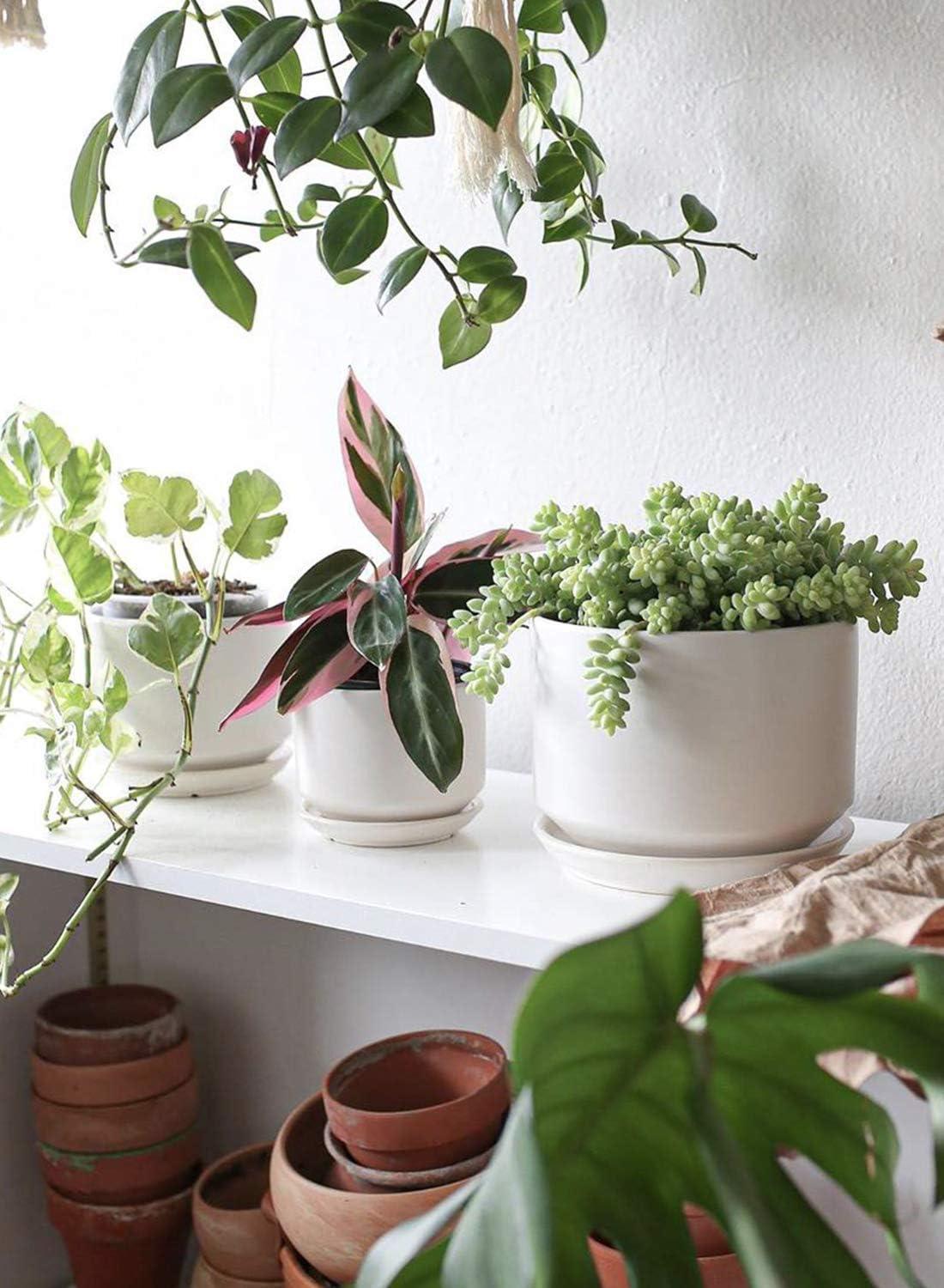 Set Of 3 Modern Ceramic Planter Pots With Drainage - Stylish Indoor/Outdoor Decor